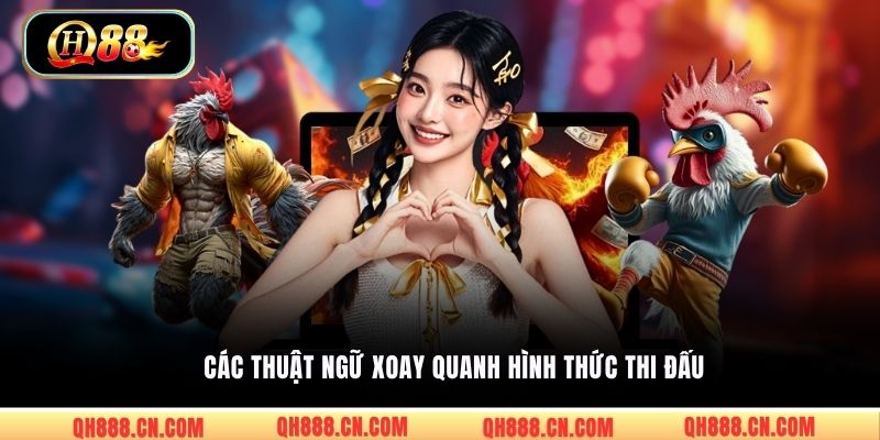 Các thuật ngữ xoay quanh hình thức thi đấu