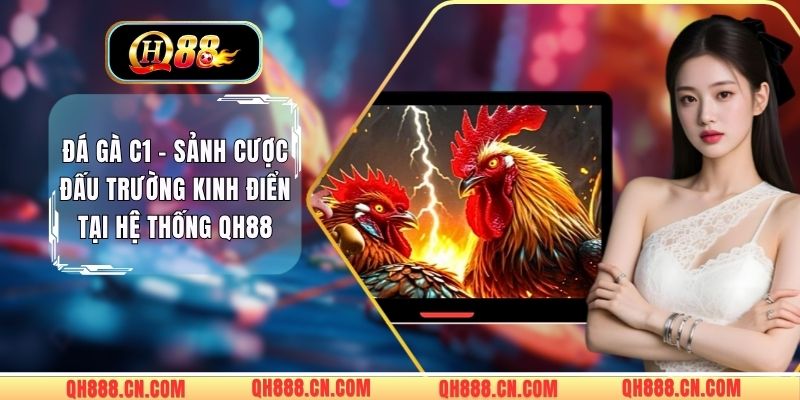 Đá Gà C1 - Sảnh Cược Đấu Trường Kinh Điển Tại Hệ Thống QH88