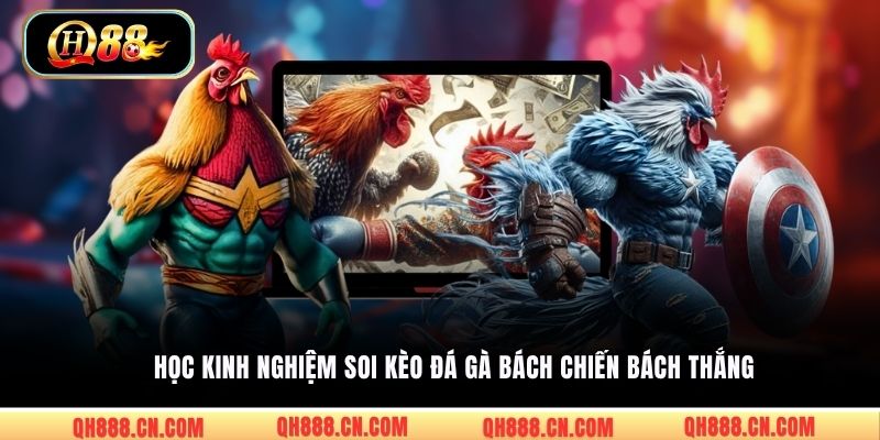 Học kinh nghiệm soi kèo đá gà bách chiến bách thắng