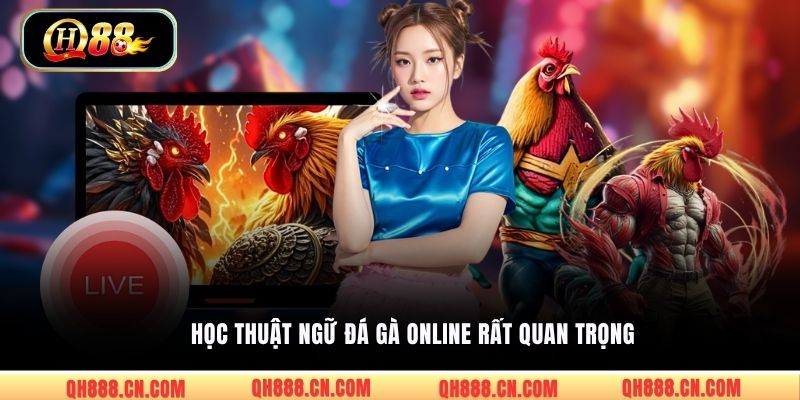 Học thuật ngữ đá gà online rất quan trọng
