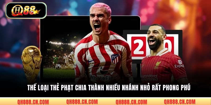 Thể loại thẻ phạt chia thành nhiều nhánh nhỏ rất phong phú