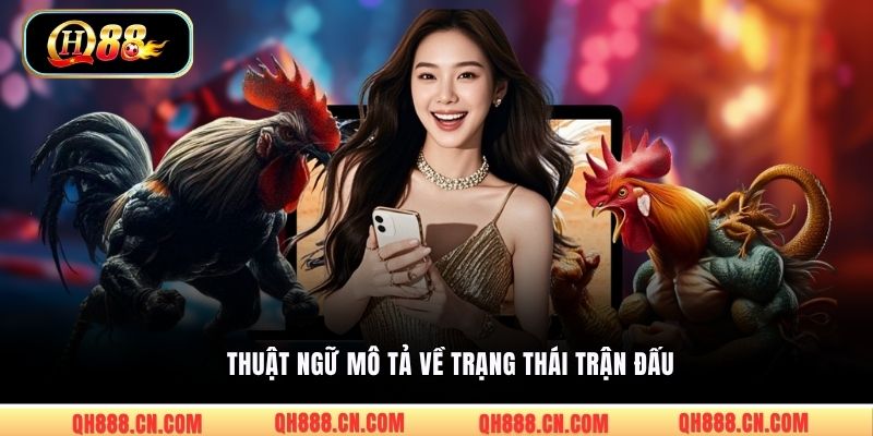 Thuật ngữ mô tả về trạng thái trận đấu